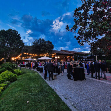 Colaborador Fundacion Contigo IVI Creative