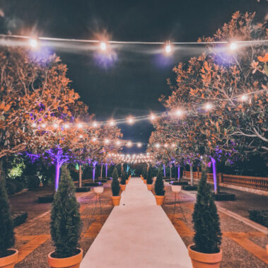 Colaborador Fundacion Contigo IVI Creative