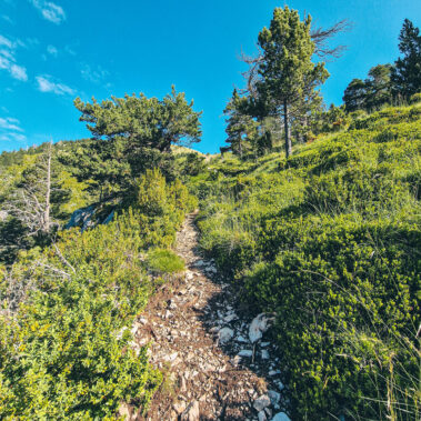 Refugi del Gresolet IVI Creative