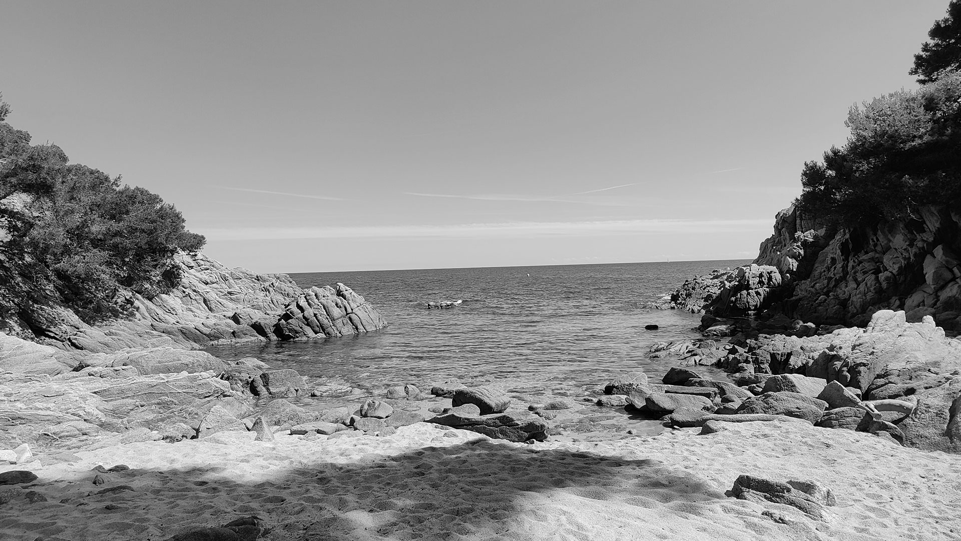 Diseño web, SEO e IA para negocios del Empordà y Costa Brava